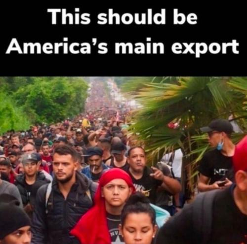 photo_2025-05-01_21-25-40