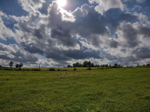 IMG_20220609_173012484_HDR