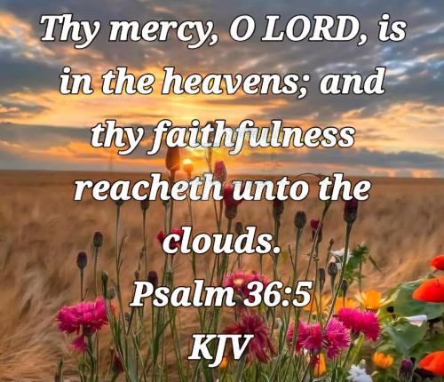 ebb30db9-16e2-4af8-99d5-7aacde9d8a00