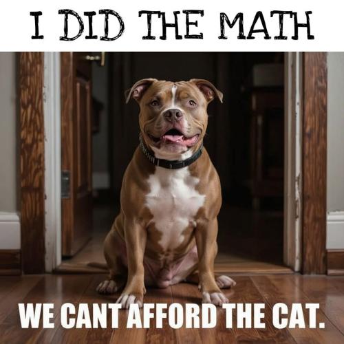 FB_IMG_1748005649864