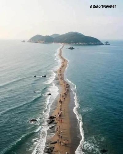 f5d264c7-89ce-463c-9f9c-d6d5e06d2954