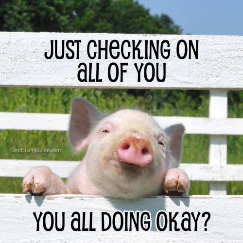 FB_IMG_1747154879560