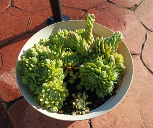 6bdfffc8-5a8a-4ecc-9ad5-8b9bc46caa26