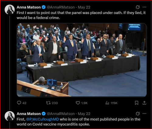 Screenshot 2025-05-23 202455