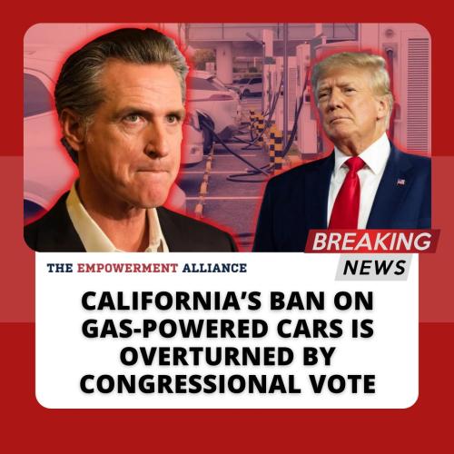 495223701_707768241756852_2986141468791763291_n