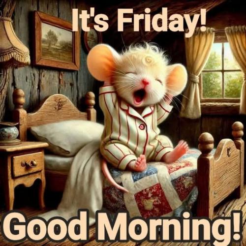 494537557_122232903794223156_4319151386248301758_n