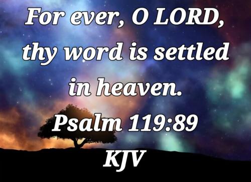 0e39dc91-1d7d-4c95-82ad-f6971318760c