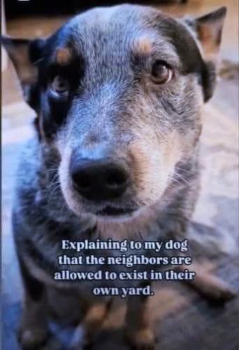 FB_IMG_1746905247090