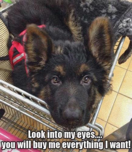 FB_IMG_1747690631850