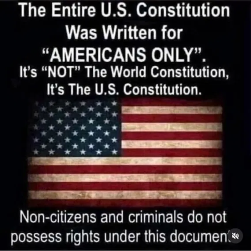 image_2025-05-03_092831282