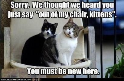 434c8f5af0573c6c35b1aa66fcd76f70