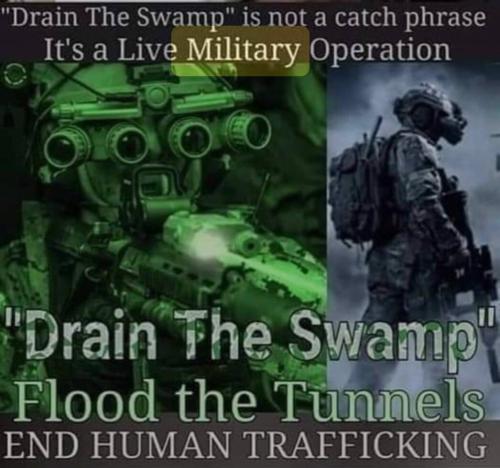 Drain the Swamp 1