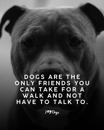 FB_IMG_1746985050893