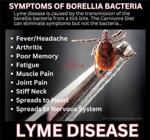 Screenshot 2025-05-07 140031