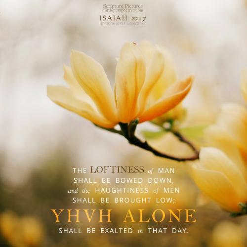 isa-2-17-GMT-unsplash