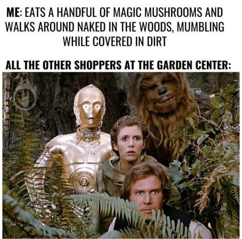 image_9B842844-EC3E-4C91-B1F7-285A88D66C8B