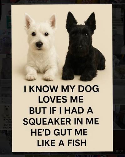 FB_IMG_1747581248779