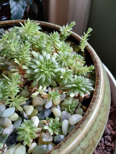 62c3dad9-5066-4183-acbb-944fc2c55035