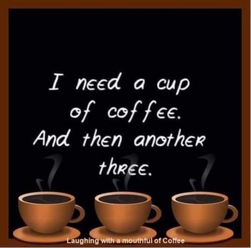 FB_IMG_1748630325907