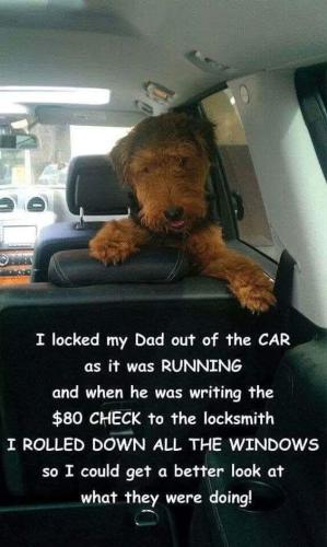 FB_IMG_1747007287953