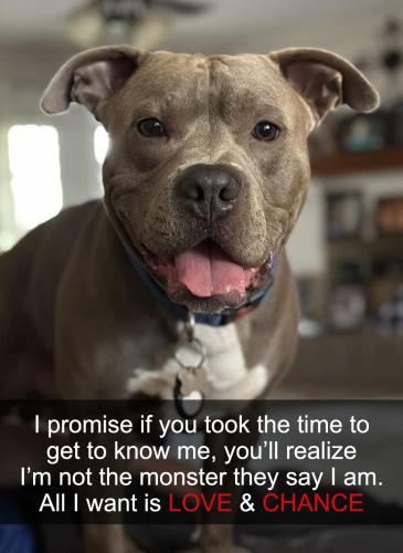 FB_IMG_1747339058338