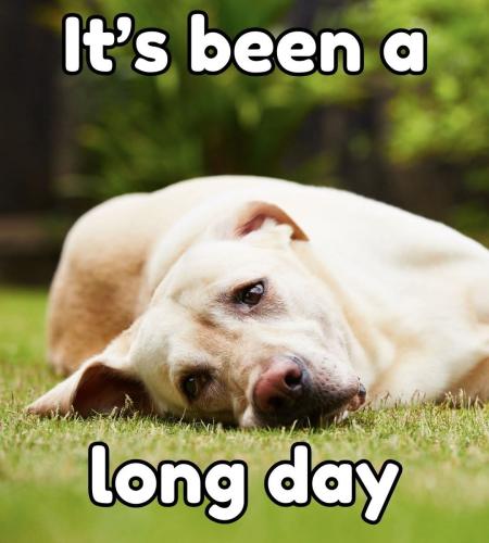 FB_IMG_1748000922550