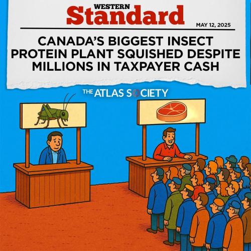 biggest insect plant