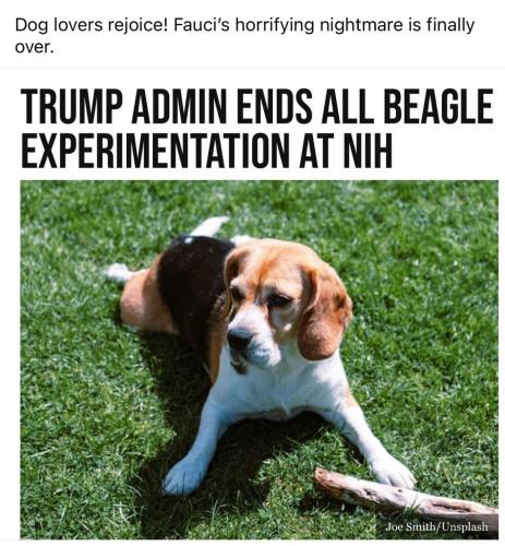 B4CC5931-2510-453A-A954-BD6BEC231F71