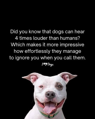 FB_IMG_1746905368720