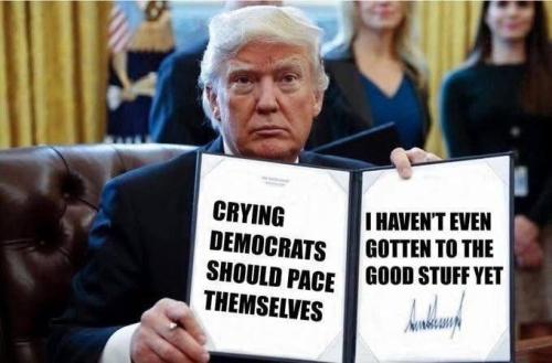 e59b3b5755b5dd348ac225918b91631a