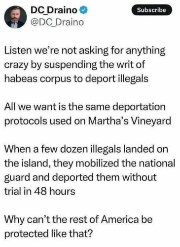 MARTHAS VINEYARD ILLEGALS