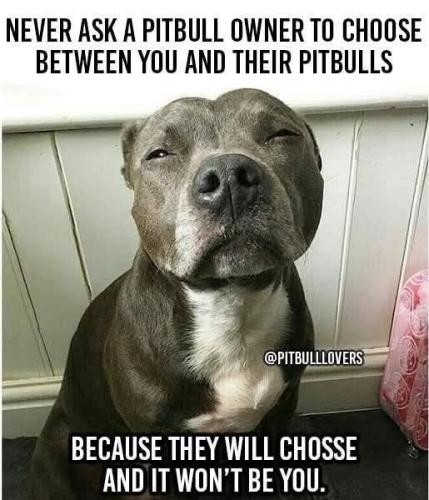 FB_IMG_1747412772491