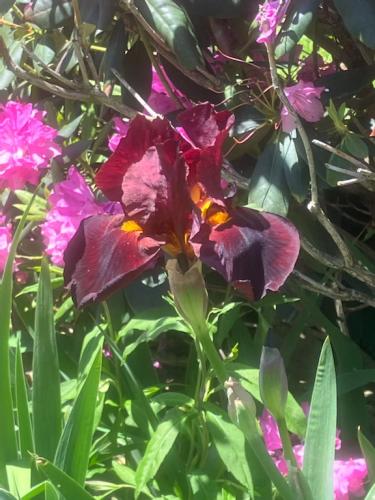 BC594346-5D80-4637-8FCF-E85566A2EF5D