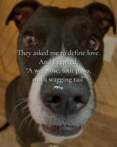 FB_IMG_1746487541683