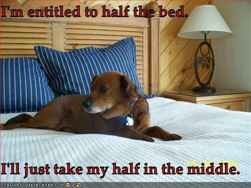 acce8fe377a75c5411de00a72c2101d1