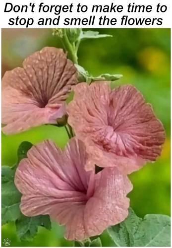 946B527A-E79A-4C14-9AEC-1DB4D671EBE4