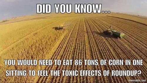 f5d16013-d5ec-4645-a6e4-66c0bccf14be