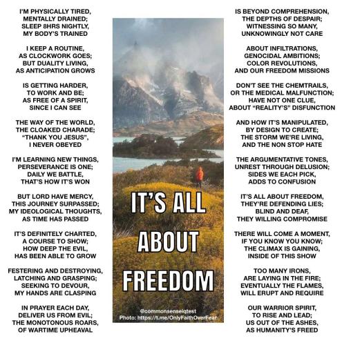 IMG_20250502_025134_664