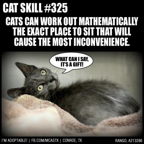 76ebbb0a6bca1caf499d2e4d8684e89d