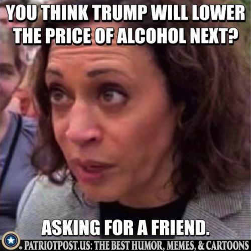 01JVV4AR321K5KTNMJHM4HZQ8P