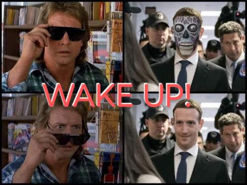 FB_IMG_1640453367904~2