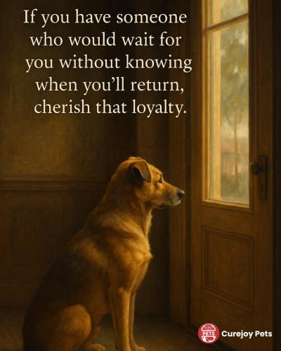 FB_IMG_1746123554492