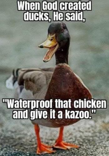 496598974_122230276460208383_7368103114557174224_n