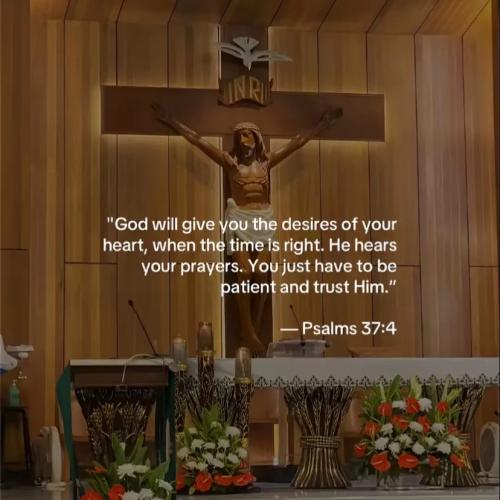 495020164_1004188835249715_7197454306229718298_n