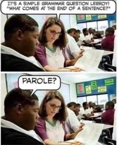 image_565C17C0-5554-47A5-BADC-44E79E9F0F2A