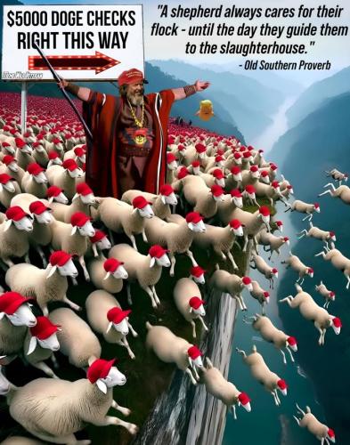 FB_IMG_1746287268311