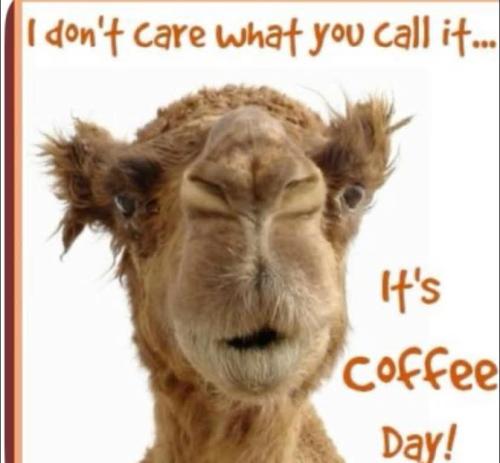 FB_IMG_1746648557004