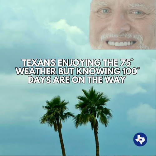 Screenshot 2025-05-07 135557