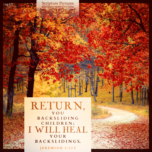 13-jer-3-22-JPS-pixabay