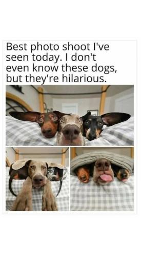 FB_IMG_1748462790451